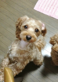 おはよう～♪