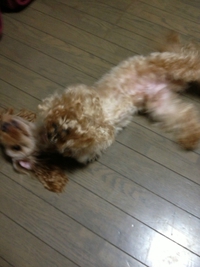 おはよう～♪