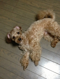 おはよう～♪