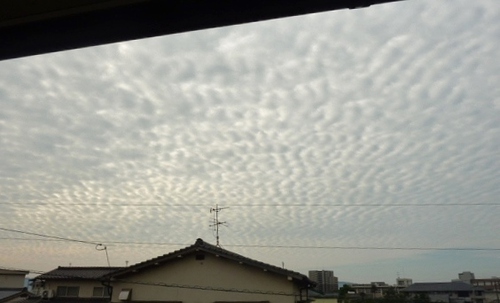 さば雲？