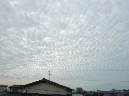 さば雲？