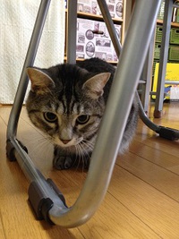 里子のあの子に会いに(๑╹ڡ╹)╭ ～ ♡