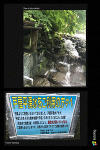 とりあえず生で！
