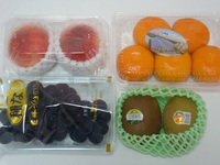 充実の1日でした( ´3` ) 39w0d