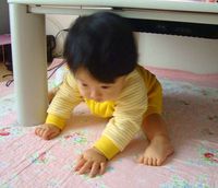 おバ〇さんなたっちゃん(  ̄m ̄ )プッ