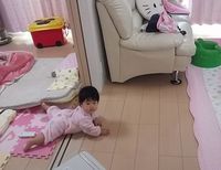 ブサかわ がたまりません(  ̄m ̄ )プッ