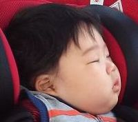 ブサかわ がたまりません(  ̄m ̄ )プッ
