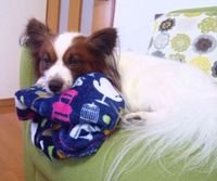 楽しかった土曜日(*^^*) その他いろいろ☆