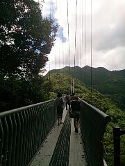 南国へ行ってきました④