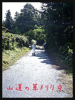 小規模集落応援隊
