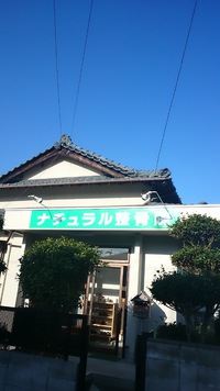 頭蓋骨って動くんですか？