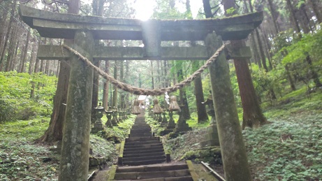 のんびり？おでかけ？