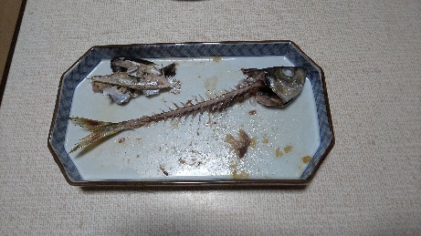 ほんとに骨だけ！