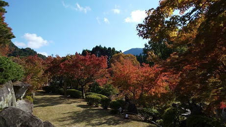 耶馬渓の渓石園