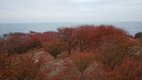 栗嶋公園