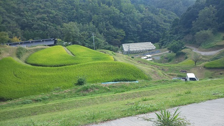 わいた温泉の地熱珈琲