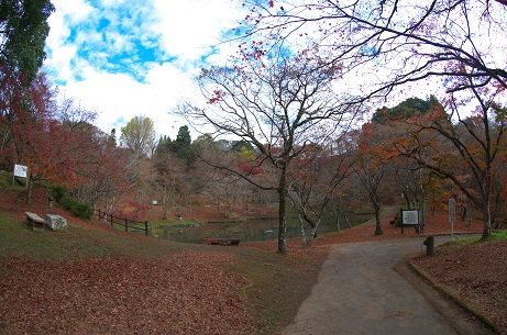 散った用作公園