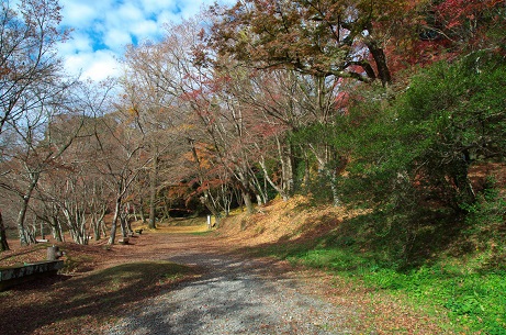 散った用作公園