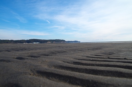 糸が浜、散歩