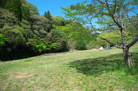 キャンプ場　再開