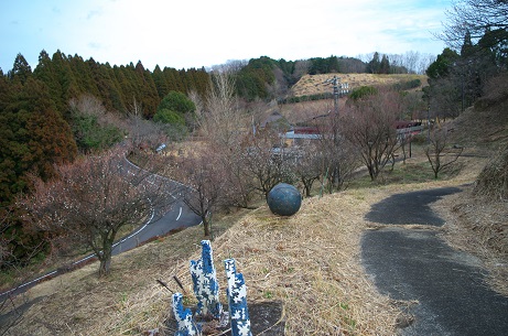 朝倉記念館の梅、まだ！