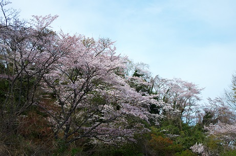 師田原ダム