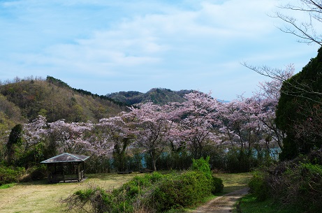 師田原ダム