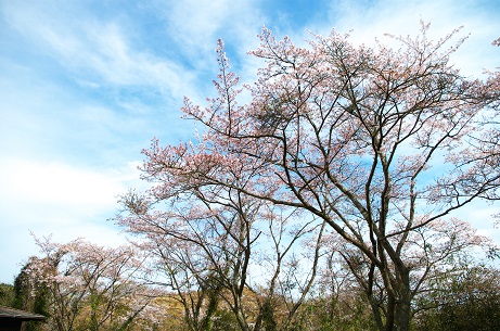 師田原ダム