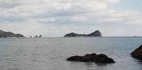 ひょっこりひょうたん島