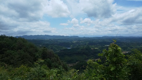 芹川ダムを望む