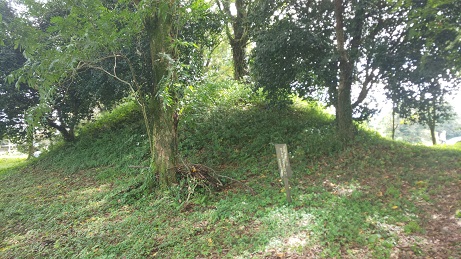 七ツ森古墳群の彼岸花