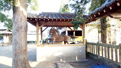 早朝の賀来神社