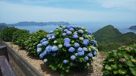 空の展望所