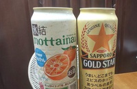 氷結mottainai　ぽんかん