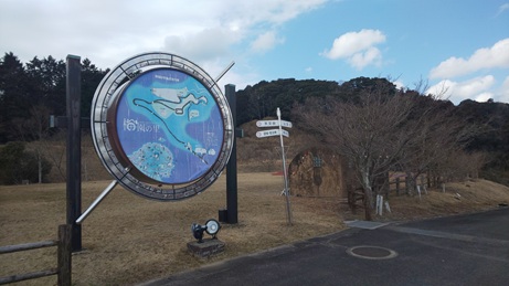 一輪も咲いてなかった！