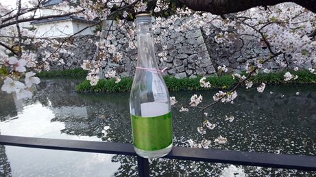 「見ごろ」　が長そう
