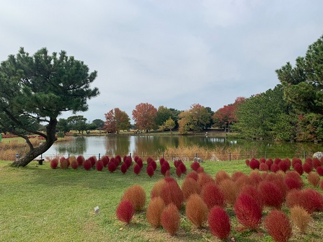 海の中道海浜公園　２５年ぶり？