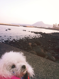 海岸散歩♪