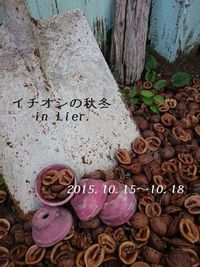 Lier.さんで秋のイベントが明日からでーす！