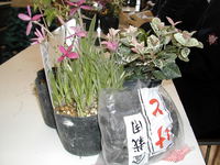 学校行事