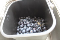 ﾌﾞﾙｰﾍﾞﾘｰJam。