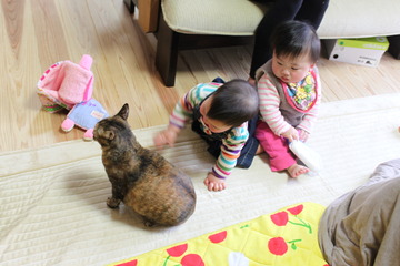 おでかけ&珍客