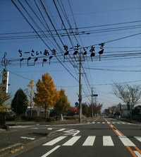 小さい秋みつけた