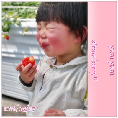 イチゴ苺いちご~ヽ(^o^)ノ