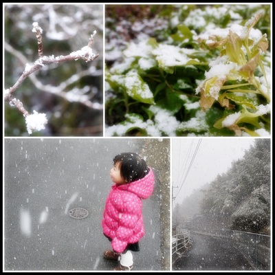 吹雪の別府へ(°Д°)