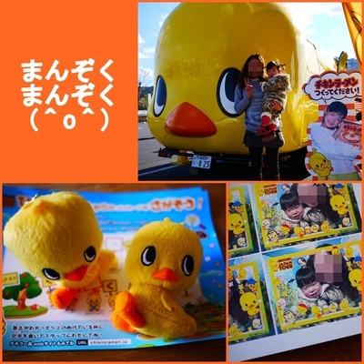 ピヨっとラッキーデー(^ω^)