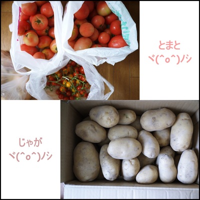 ただいまんぼう( ´3`)