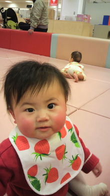 再開☆萌っ子♪