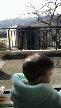 移住完了o(^o^)o