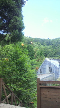 なう